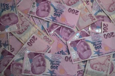 Pembe para birimlerinin canlı bir koleksiyonu manzarayı dolduruyor, karmaşık tasarımları ve çeşitli mezhepleri gösteriyor..