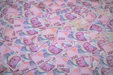 Geniş bir banknot koleksiyonu düz bir yüzeyi kaplıyor. Renkli tasarımlarını ve karmaşık detaylarını sergiliyor..