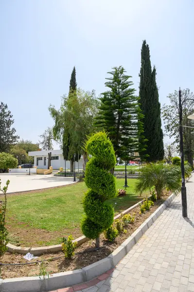 Bereketli yeşil bitkiler ve titiz şekilli ağaçlar huzurlu bir parkta, dinlenmek isteyen ziyaretçiler için sakin bir atmosfer sunuyor ve ılık güneşin altında güzellik arıyor..