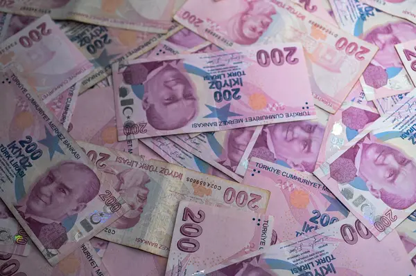 Türk lira banknotlarının geniş bir yelpazesi yüzeyi doldurarak, karmaşık pembe ve mor renkler ve tasarımlar sergiliyor.