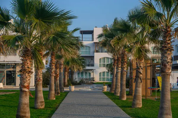 Palmiyelerle kaplı bir patikada sakin bir yürüyüş, altın saat boyunca huzurlu bir sahil varış noktasına götürür..