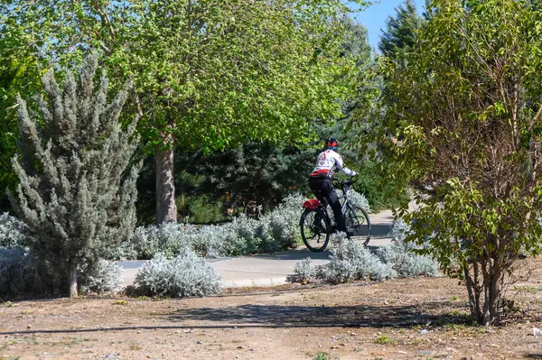 Bir bisikletçi kıvrımlı bir patika boyunca canlı yeşillikler ve çiçek açan çalılarla çevrili bir şekilde pedal çeviriyor. Parlak güneş ışığı, sakin atmosfere sıcaklık katar. Rahatlamaya ve neşeye davetiye çıkarır..