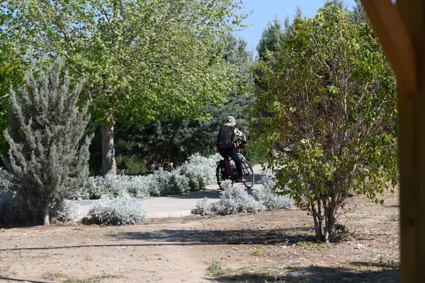 Bir bisikletçi, canlı yeşil ağaçlar ve mis kokulu çalılarla çevrili, verimli bir parkta, dolambaçlı bir patika boyunca yol alır. Güneş parıldıyor, açık hava aktiviteleri için neşeli bir atmosfer yaratıyor..