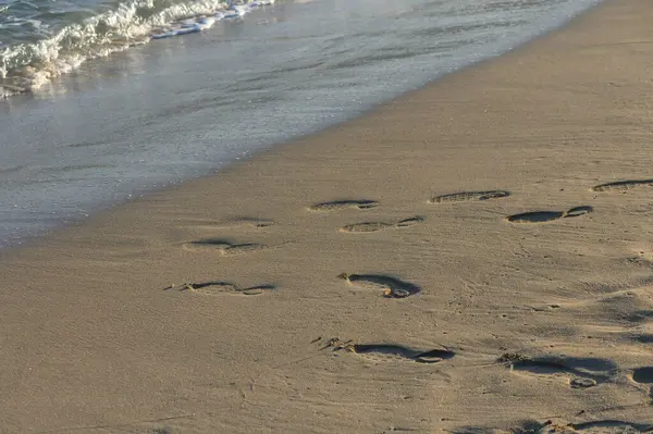 Sahilde bir patikanın izleri var. Dalgalar tarafından nazikçe öpülmüş. Huzur ve yansıma hissi uyandırıyor..