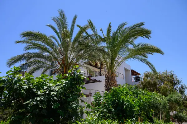 Kıbrıs Kompleksinde Beyaz Villalı Tropikal Bahçe