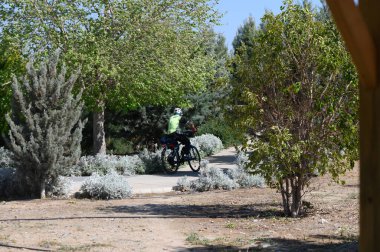 Bir bisikletçi, parlak mavi gökyüzü olan güneşli bir günde, parkın içinde huzurlu bir gezinti yaparak, canlı yeşilliklerle çevrili dolambaçlı bir yolda yol alır..