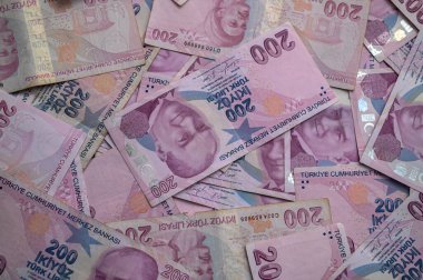 Türk Lirası banknotları, sıcak bir öğleden sonra ışığı yansıtan canlı bir ekranda sergileniyor..