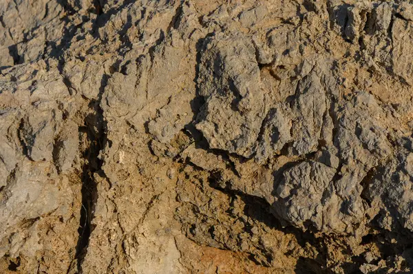 Kayalık arazinin karmaşık desenleri, akşam ışığının altın parıltısı altında doğa sanatını ortaya koyuyor..