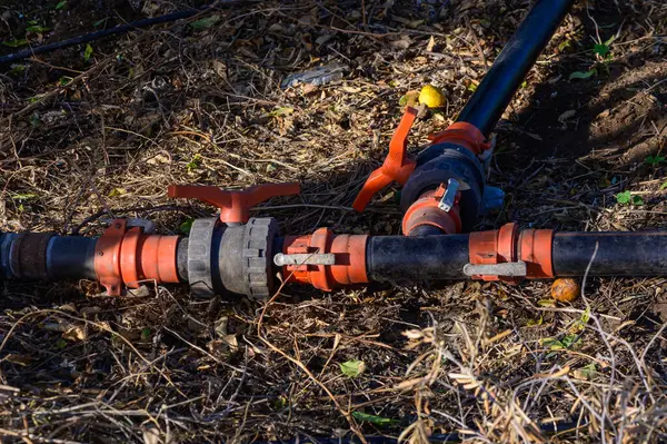 Plastik su boruları, bahçeye su dağıtan bir T-joint aracılığıyla bağlanıyor. Arka bahçedeki ya da tarımsal ortamdaki verimli su kaynakları için sulama sistemi.