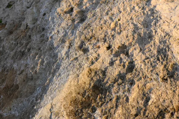 Güneş ışığı kayalık arazide sıcak bir parıltı yayar ve alacakaranlıkta yüzeydeki eşsiz doku ve desenleri ortaya çıkarır..