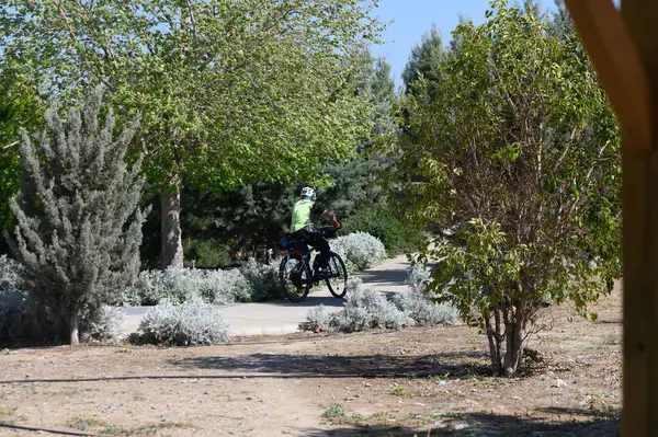 Bir bisikletçi, parlak mavi gökyüzü olan güneşli bir günde, parkın içinde huzurlu bir gezinti yaparak, canlı yeşilliklerle çevrili dolambaçlı bir yolda yol alır..