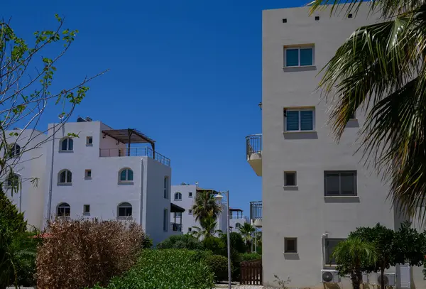 Kıbrıs 'ta deniz kenarında sakin bir komplekste parlak beyaz Akdeniz tarzı villalar.