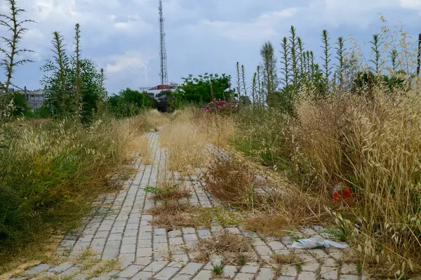 Kıbrıs 'ta Fazla Gelişmiş Kaldırımlar ve Yaya Yolu
