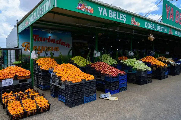 Kıbrıs Marketinde Taze Renkli Meyveler