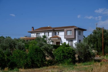 Huzurlu Akdeniz kırsalına doğal olarak karışan gür ağaçlarla çevrili geleneksel Kıbrıs evi.