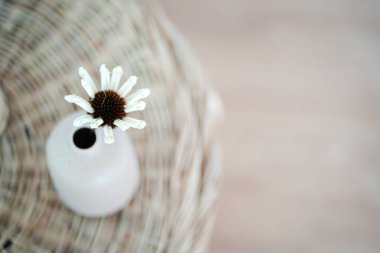 Güzel çiçeğin yakın görüntüsü, üst manzara.