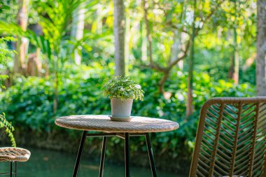 Kaliteli ahşap bir masa, kahverengi sandalyeler ve arka planda iç mekan bitkileri olan klasik bir kafe. Hoş geldin atmosferi yaratıyor.