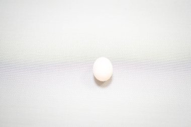 Beyaz tavuk yumurtası üst görünümü