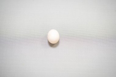 Beyaz tavuk yumurtası üst görünümü