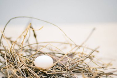 Bulanık arkaplanda yuvada beyaz tavuk yumurtası  