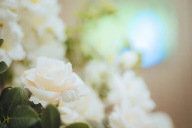 Narin bir buket beyaz çiçek ve yeşil yapraklar..