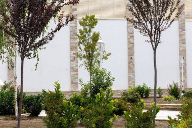 Güzel ve bakımlı bir bahçe, güzel dikilmiş çalılar ve ağaçlar, yüksek beyaz bir çitin arkasında. Yüksek kalite fotoğraf