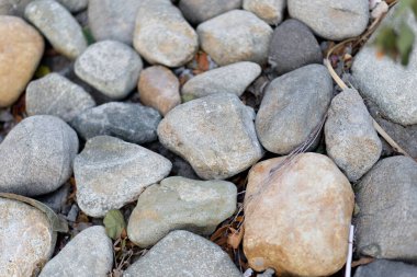 Küçük taş dokusu. Çakıl dokusu. Küçük taşlar, küçük taşlar, inşaat için çakıl taşları. Yüksek kalite fotoğraf