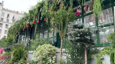 Paskalya tatili için dekore edilmiş bir cadde. Binalar çiçekler ve renkli yumurtalarla süslenir. Yüksek kaliteli FullHD görüntüler