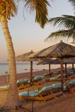 Fujairah, BAE. Adanın sahilinde kurumuş palmiye yapraklarından yapılmış plaj şemsiyeleri. Lüks tatil konsepti. Yüksek kalite fotoğraf