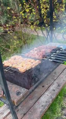 Izgarada sai ve tavuk şiş pişiriyorum. Babrbecue zamanı. Yüksek kaliteli FullHD görüntüler
