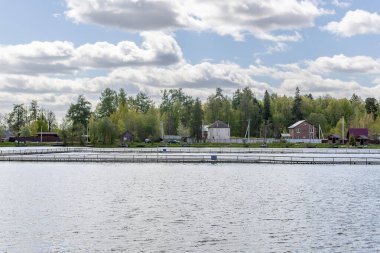 Gölün su seviyesi karşı kıyıda. Gölün karşı kıyısındaki ağaçlar ve doğa. Gölün diğer tarafındaki evler. Yüksek kalite fotoğraf
