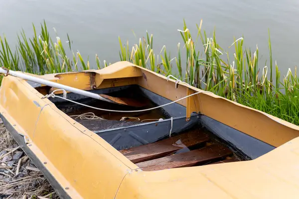 Gölün kıyısındaki çimlerin üzerinde eski bir tekne var. Yüksek kalite fotoğraf