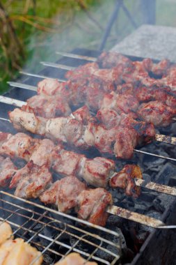 Terbiye edilmiş şiş kömürün üstünde ızgarada pişirilir. Izgara domuz ve tavuk şiş. Yüksek kalite fotoğraf