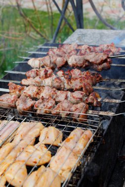 Terbiye edilmiş şiş kömürün üstünde ızgarada pişirilir. Izgara domuz ve tavuk şiş. Yüksek kalite fotoğraf