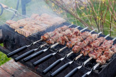 Terbiye edilmiş şiş kömürün üstünde ızgarada pişirilir. Izgara domuz ve tavuk şiş. Yüksek kalite fotoğraf