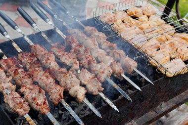 Terbiye edilmiş şiş kömürün üstünde ızgarada pişirilir. Izgara domuz ve tavuk şiş. Yüksek kalite fotoğraf