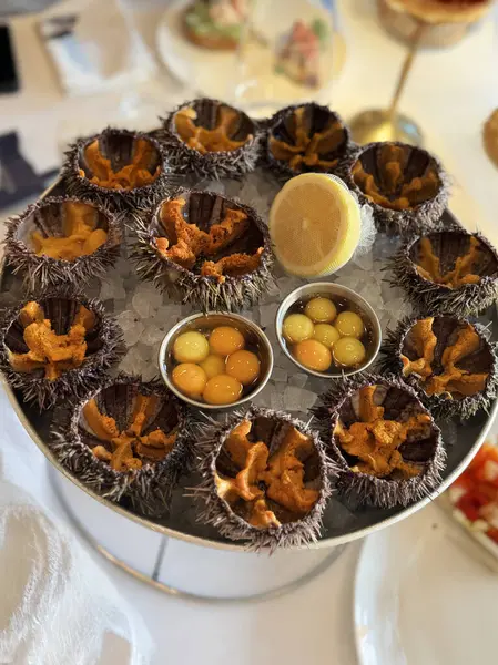 Taze açılmış bıldırcın yumurtası ve soya soslu deniz kestaneleri gri arka planda yakın plan. Yüksek kalite fotoğraf