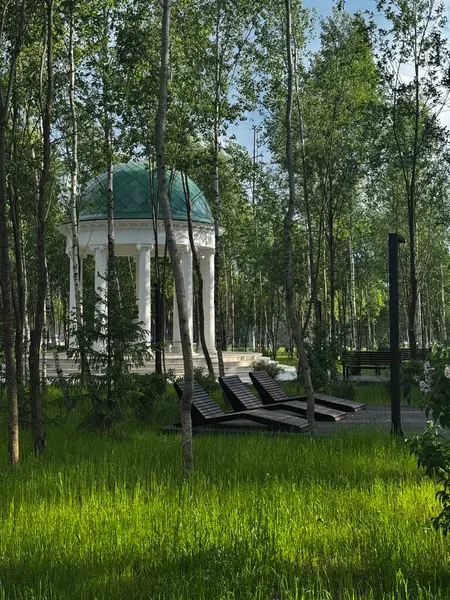 Parkta yoğun büyüyen ağaçların arasında mavi çatılı bir çardak. Yüksek kalite fotoğraf