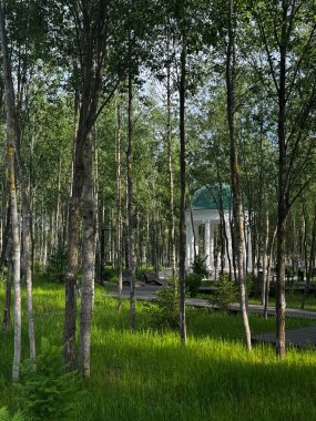 Parkta yoğun büyüyen ağaçların arasında mavi çatılı bir çardak. Yüksek kalite fotoğraf