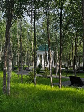 Parkta yoğun büyüyen ağaçların arasında mavi çatılı bir çardak. Yüksek kalite fotoğraf