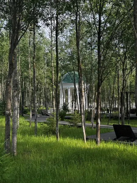 Parkta yoğun büyüyen ağaçların arasında mavi çatılı bir çardak. Yüksek kalite fotoğraf