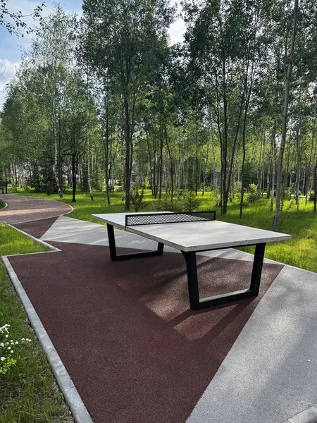 Parkta beton masa tenisi masaları. Vandal geçirmez sahte metal ağları olan boş tenis masaları. Yüksek kalite fotoğraf