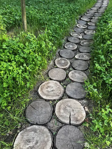 Parktaki yeşil çimlerin üzerinde ağaç kütükleri, seçici odak noktası, kopyalama alanı. Yüksek kalite fotoğraf