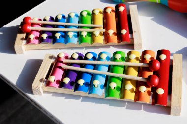 Xelophone 'lar beyaz arka planda yatarlar. Yüksek kalite fotoğraf