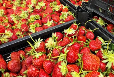 Arka plan olarak tatlı taze çilek dokusu, yakın plan. Yüksek kalite fotoğraf