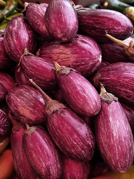 Patlıcan arka planı. Yakın planda taze toplanmış mor patlıcanlar. Üst Manzara. Yüksek kalite fotoğraf