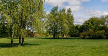 Baharda park, yemyeşil, güneşli bir gün - panoramik manzara. Yüksek kalite fotoğraf