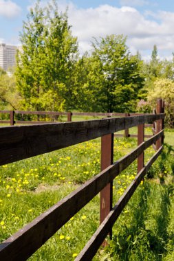 Köy çitlerinin kenarı ve etkileyici doğa. Yüksek kalite fotoğraf