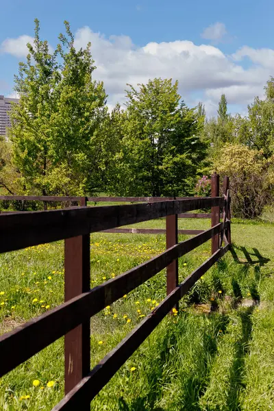 Köy çitlerinin kenarı ve etkileyici doğa. Yüksek kalite fotoğraf