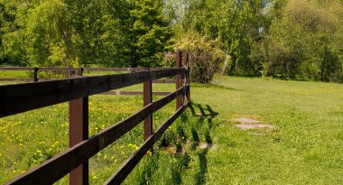 Köy çitlerinin kenarı ve etkileyici doğa. Yüksek kalite fotoğraf